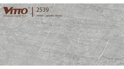 Gạch Ốp Tường Trang Trí Ceramic Vitto 300*600mm 2539