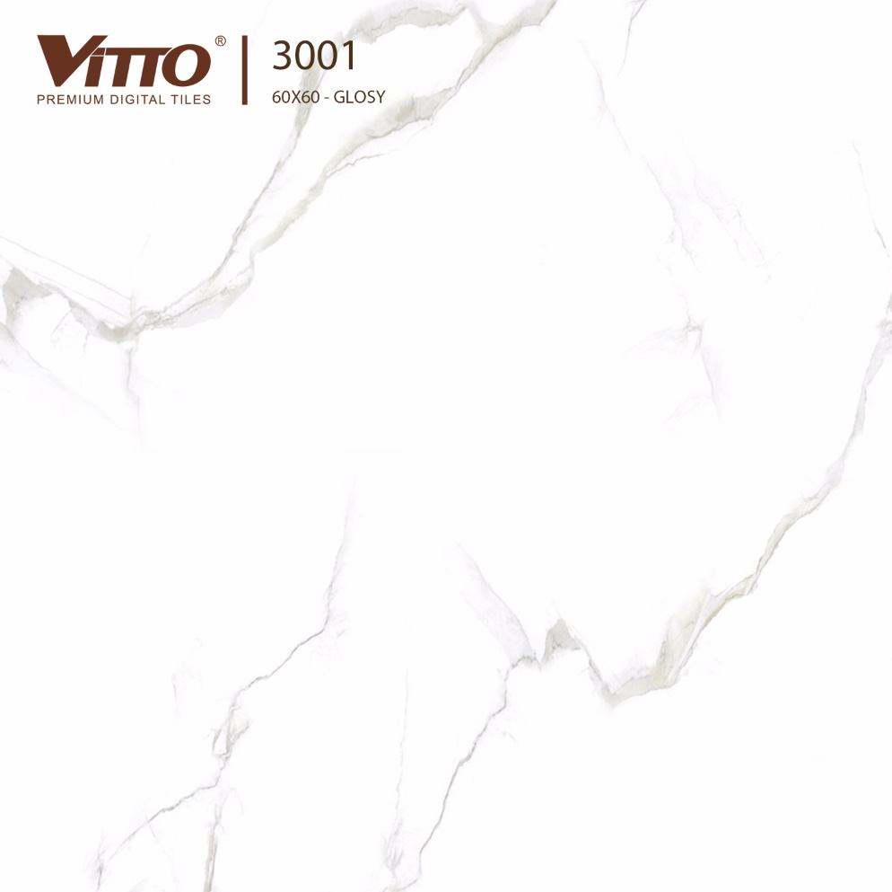 Gạch lát nền Procelain men bóng Vitto 60x60cm 3001
