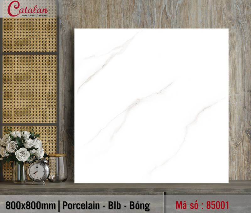 Gạch lát nền Porcelain Catalan 800x800mm TITAN 85001