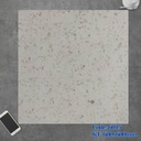 Gạch Terrazzo 600x600mm 6015