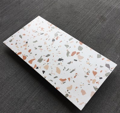 Gạch Terrazzo 300x600mm Men Matt DS6532