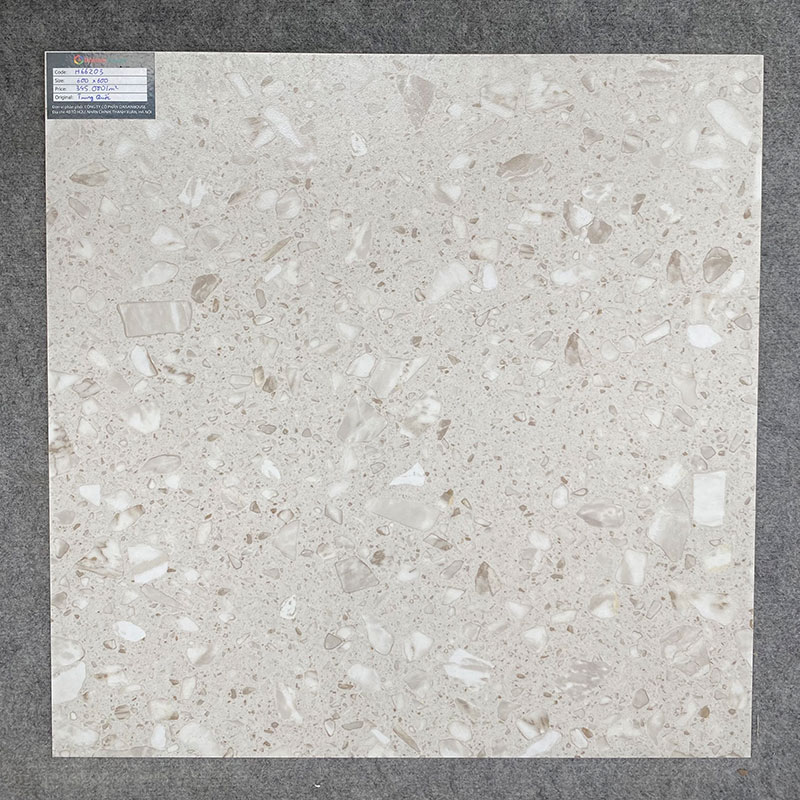 Gạch Terrazzo 600x600mm Men Matt H66203