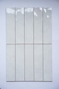 Gạch thẻ lượn mặt 75x300mm DS75300