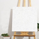 Gạch Terrazzo 600x600mm Men Matt 67032