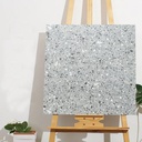 Gạch Terrazzo 600x600mm Men Matt 67052