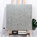 Gạch Terrazzo 600x600mm Men Matt DTZ67058