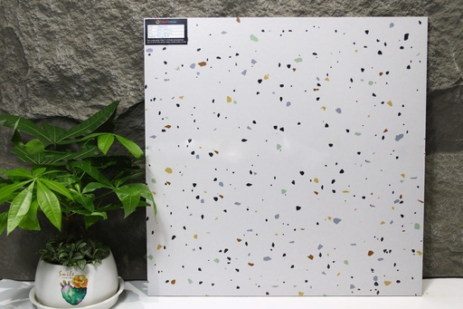 [H66231] Gạch Terrazzo 600x600mm Men Matt H66231