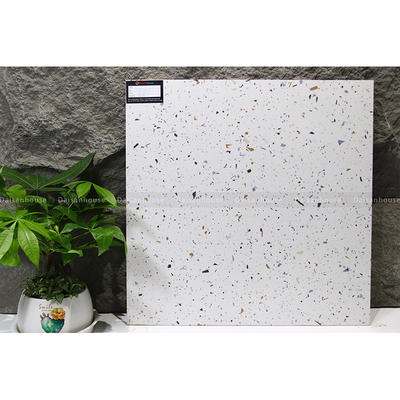 [VA6616] Gạch Terrazzo 600x600mm Men Matt VA6616